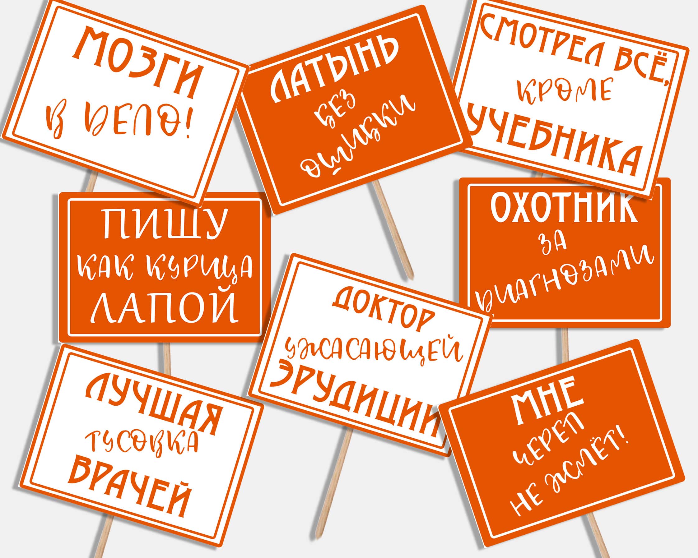 фотозона фотобутафория на день медика
