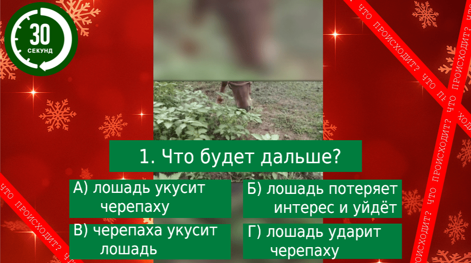 Квиз на новый 2026 Год Лошади